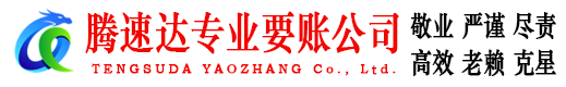 龙湖追债公司